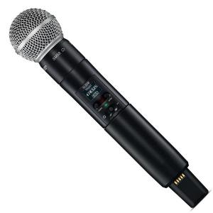 Shure SLXD2/Beta58 G59